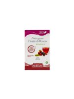 Organic forest fruits herbal tea – 44mm pads – 18 pcs